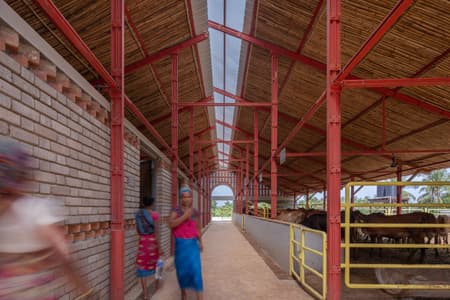 Gaughar Animal Husbandry